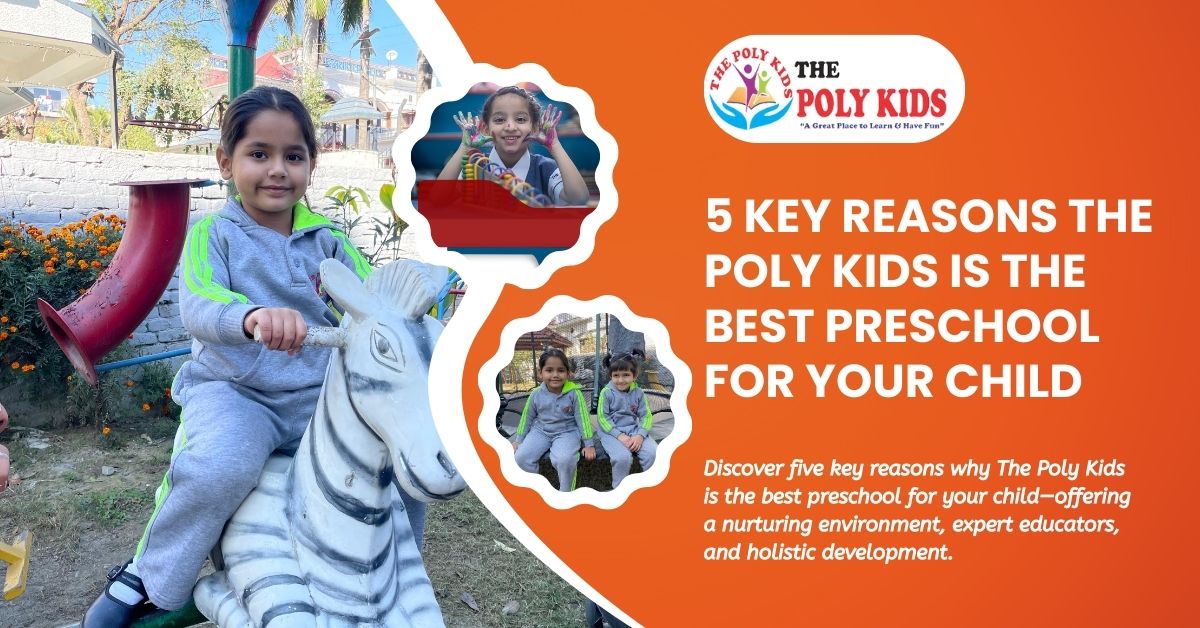 5 Key Reasons The Poly Kids Is the Best Preschool for Your Child