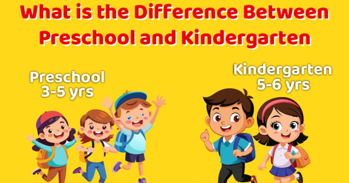 What is Difference Between Preschool & Kindergarten