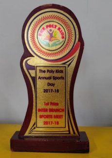 Aamwala-Branch-Awards-7